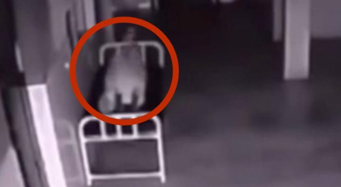Une femme meurt à l’hôpital. Ce que filme ensuite la caméra de surveillance m’a donné des frissons.