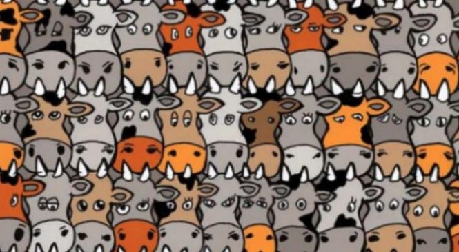 Des milliers de personnes ont essayé de trouver le chien dans cette image. Y arriverez-vous?