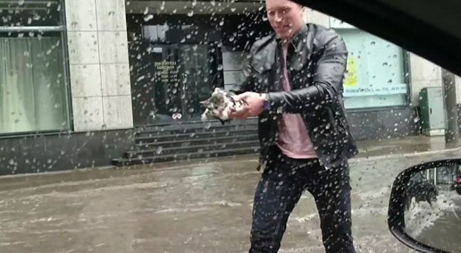 Un automobiliste sauve un chaton dans une rue inondée