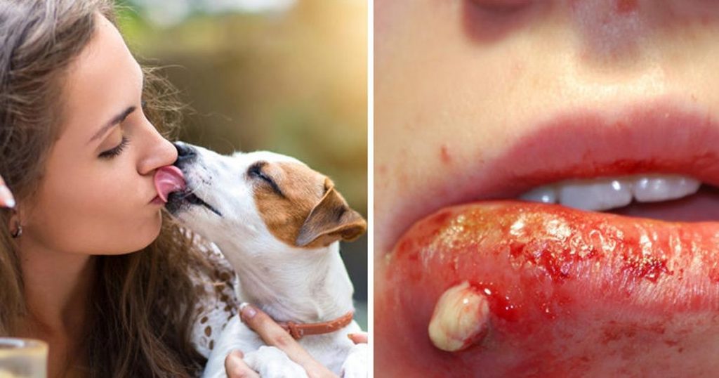 Voici pourquoi vous ne devez jamais “embrasser” votre chien!
