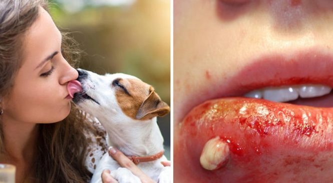 Voici pourquoi vous ne devez jamais “embrasser” votre chien!