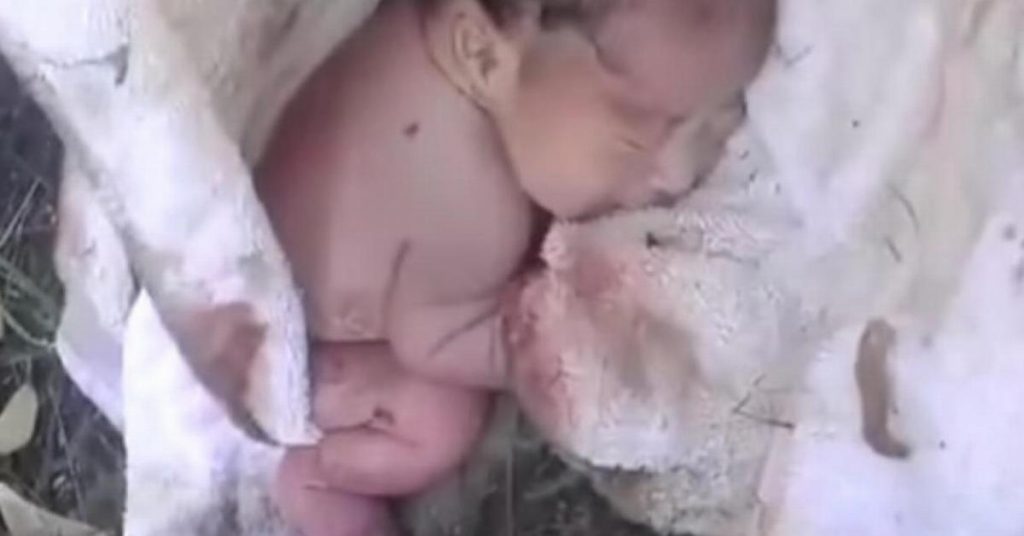 Cet homme trouve un bébé dans une couverture au parc. Ce qui se passe ensuite est infiniment touchant!