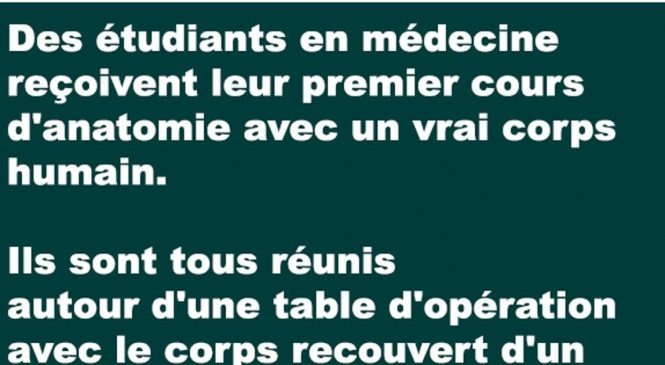 Des étudiants en médecine reçoivent leur premier cours d’anatomie avec un vrai corps humain…
