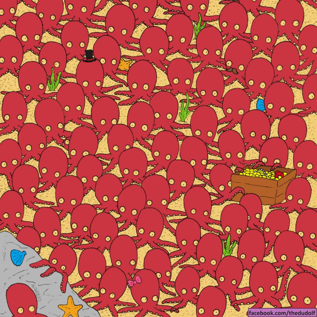 Parviendrez-vous à retrouver le poisson sur cette image ? Pas facile du tout…