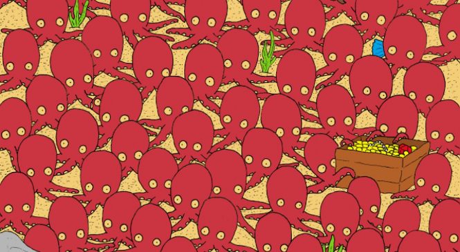 Parviendrez-vous à retrouver le poisson sur cette image ? Pas facile du tout…
