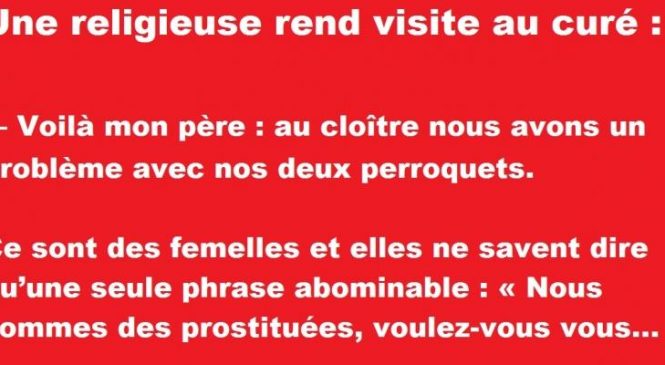 Une religieuse rend visite au curé : – Voilà mon père : au cloître nous avons un problème avec…