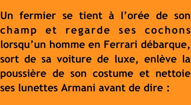 Un fermier est à l’orée de son champ en train de regarder ses cochons lorsqu’un jeune homme en Ferrari arrive.