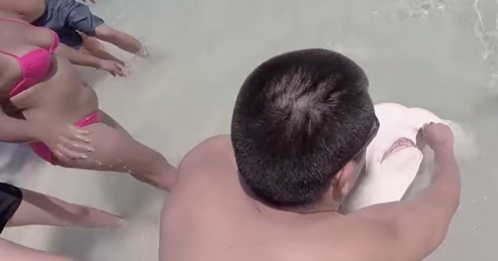 Un homme sort un requin de l’eau à mains nues. Ce qu’il trouve dans sa mâchoire choque tous les baigneurs.