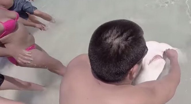 Un homme sort un requin de l’eau à mains nues. Ce qu’il trouve dans sa mâchoire choque tous les baigneurs.