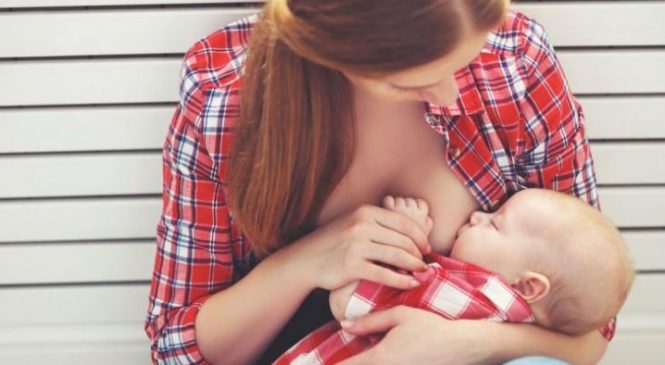 À seulement 6 ans, il sert la meilleure réplique à une femme qui critique sa mère en train d’allaiter!