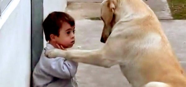 Un jeune garçon qui a une trisomie 21 rencontre un chien pour la première fois… Attendez de voir sa réaction !