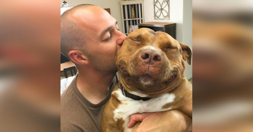Son Pitbull est mort. Trois mois plus tard, lorsqu’elle voit cette bouille sur Internet, elle part en trombe au refuge.