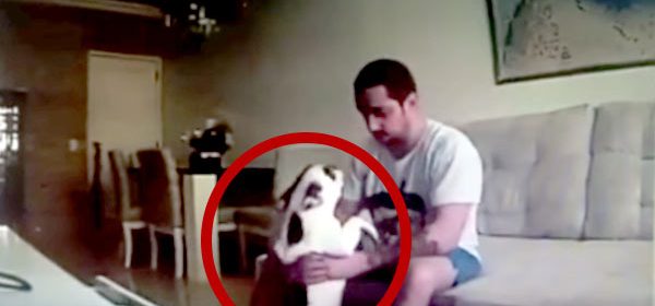 Elle trouve que son chien se comporte bizarrement quand son petit ami est là, alors, elle place une caméra cachée… Attendez de voir !