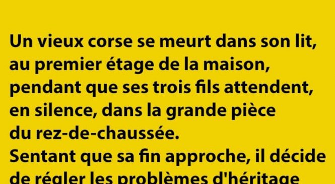 Petite histoire corse du matin…