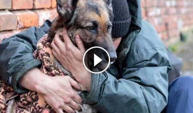 Pendant qu’il petit-déjeune, cet homme observe un SDF avec son chien. Quelques jours plus tard, ce dernier lui fait ressentir quelque chose d’exceptionnel.
