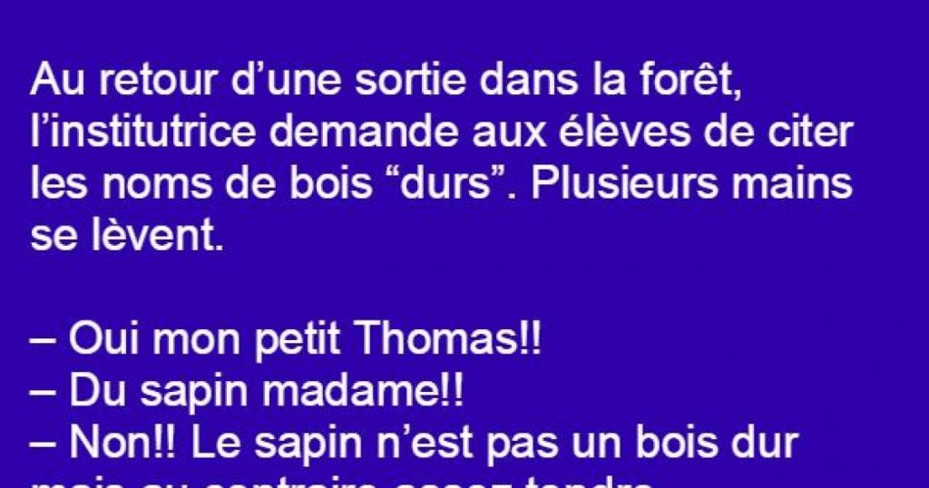 Au retour d’une sortie dans la forêt, Ia maitresse demande aux élèves de citer les noms de bois “durs”…