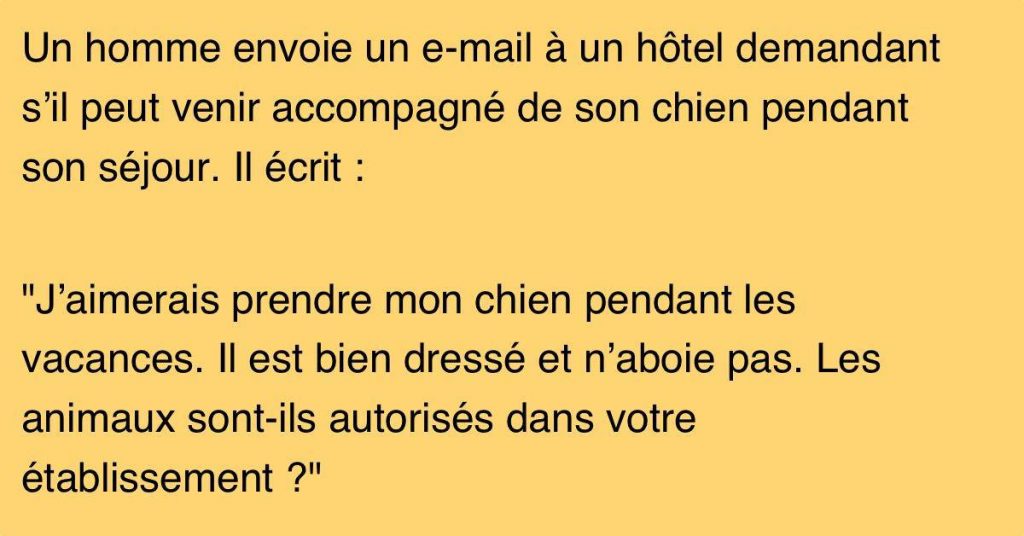 Un gars demande si son animal peut loger à l’hôtel avec lui. Attendez de voir la réponse !