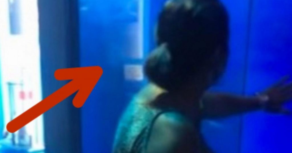 Cette femme tape sur la vitre de l’aquarium du requin. À 0:15, elle a eu la peur de sa vie!