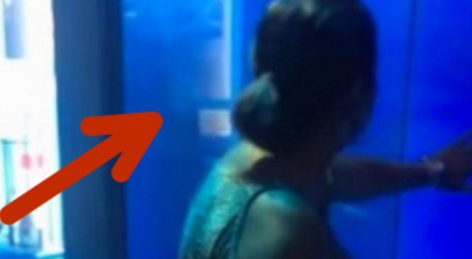 Cette femme tape sur la vitre de l’aquarium du requin. À 0:15, elle a eu la peur de sa vie!