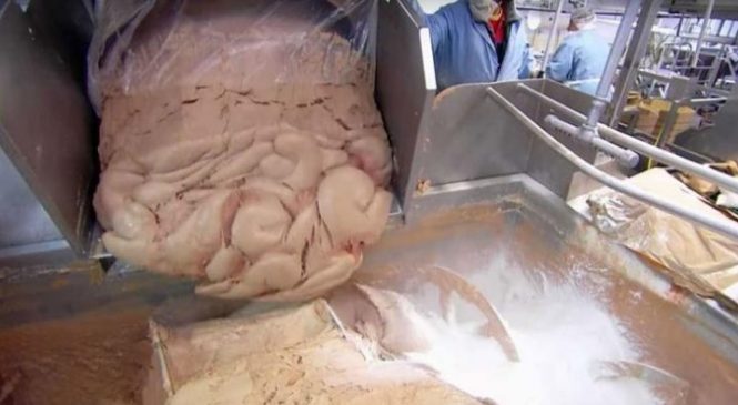 Il amène une caméra dans une usine de saucisses Knaki, ce qu’elle capte? J’ai envie de vomir!