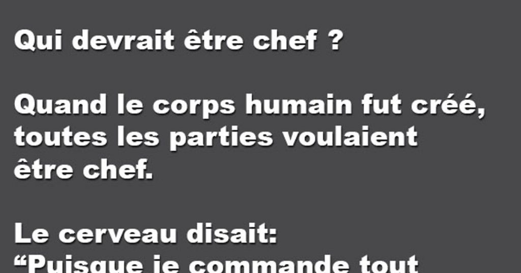 Qui devrait être chef ?