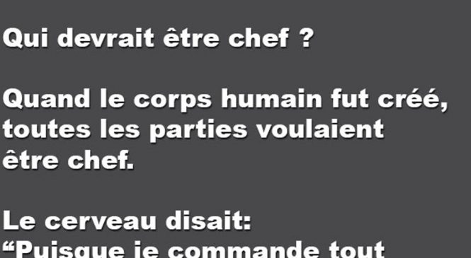 Qui devrait être chef ?