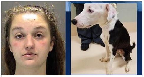 Une femme adopte un chien dans un refuge, puis oublie de le nourrir car elle est « trop occupée ».