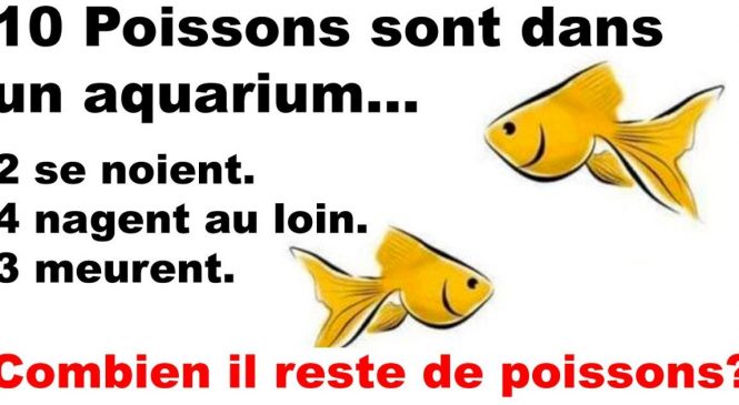 Une question ULTRA simple que personne n’est capable de répondre correctement