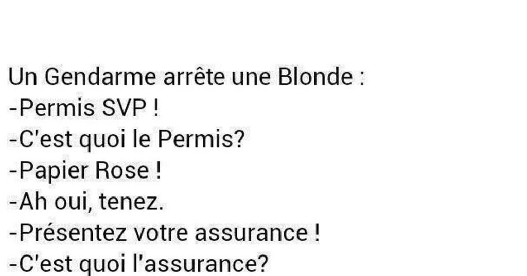 Il arrête une blonde et lui demande ses papiers…