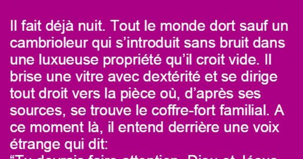 Il fait déjà nuit. Tout le monde dort sauf un cambrioleur qui s’introduit sans bruit dans une luxueuse propriété…