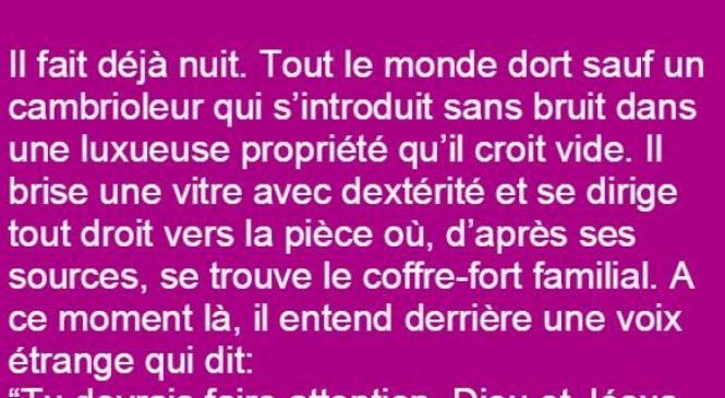 Il fait déjà nuit. Tout le monde dort sauf un cambrioleur qui s’introduit sans bruit dans une luxueuse propriété…