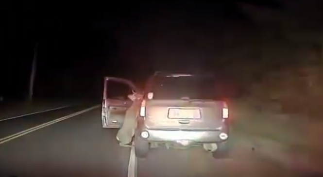 Vous ne devinerez jamais ce qui est arrivé à cet automobiliste dans la nuit ! WOW !