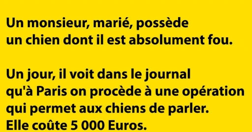 Un monsieur, marié, possède un chien dont il est absolument fou…
