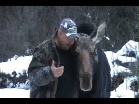 Un original s’approche des chasseurs, puis ce qu’il se passe est incroyable