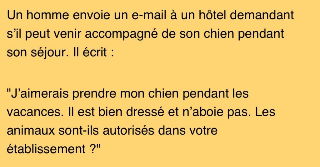Un mec demande si son chien peut loger à l’hôtel avec lui. La réponse qu’il reçoit est juste magistrale.