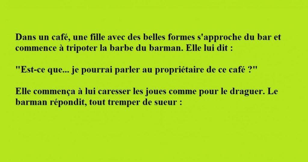 Une fille plutôt agréable à regarder s’approche du bar et commence à toucher le barman !