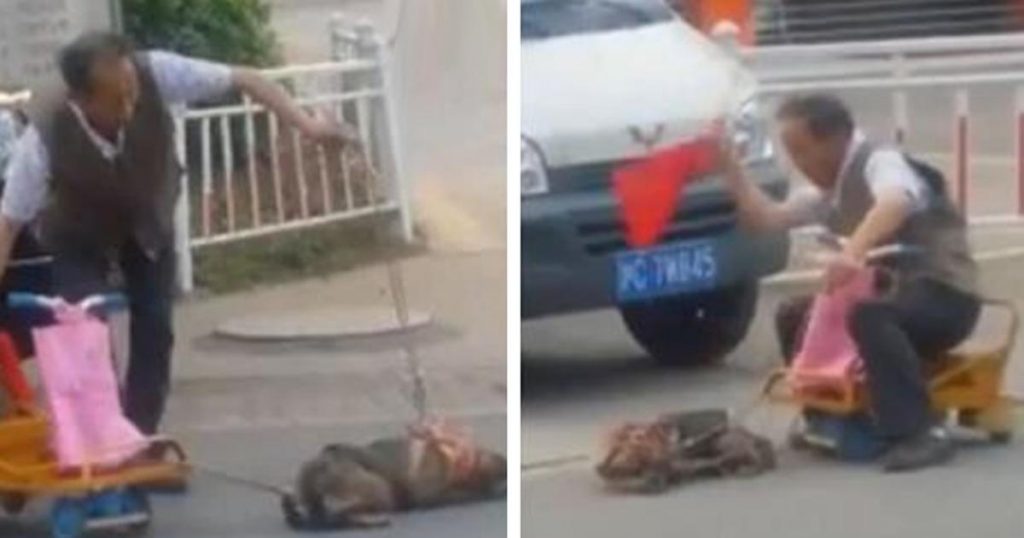 Son chien ne veut pas tirer son chariot, puis ce qu’il fait est horrible!