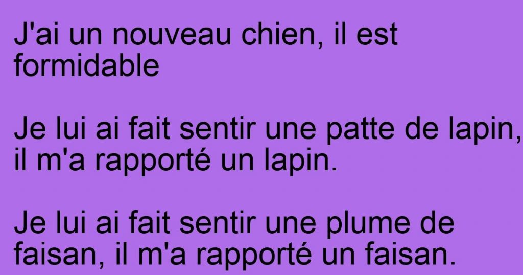 J’ai un nouveau chien, il est…