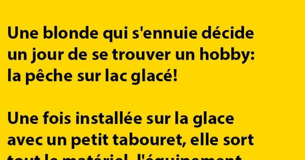 Une blonde qui s’ennuie décide un jour de se trouver un hobby…
