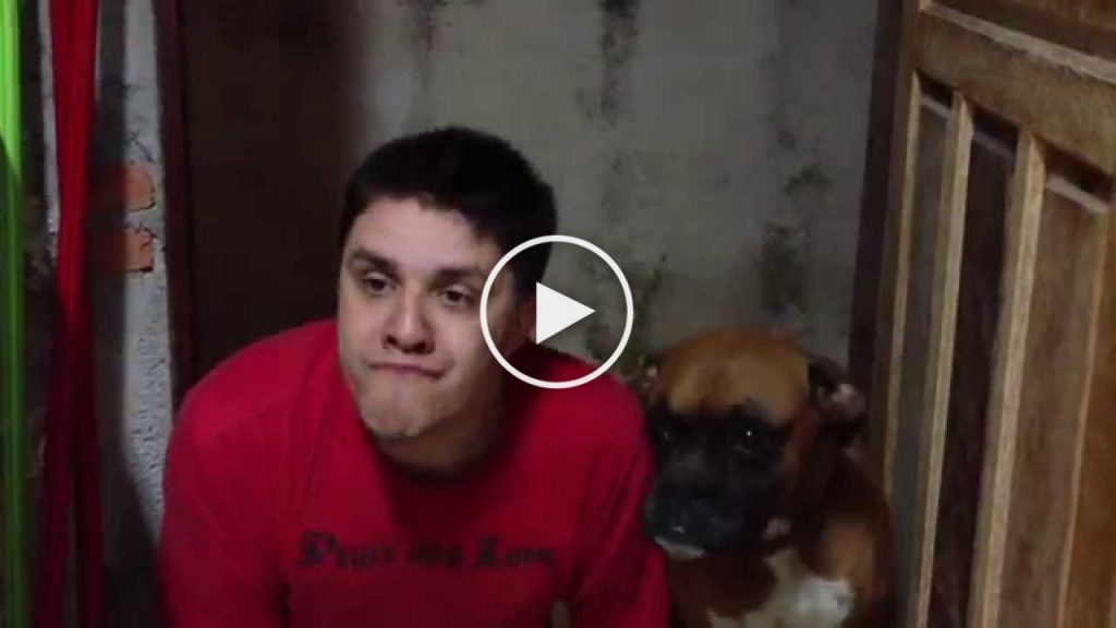 Un homme imite son chien, la réaction de celui-ci est hilarante!