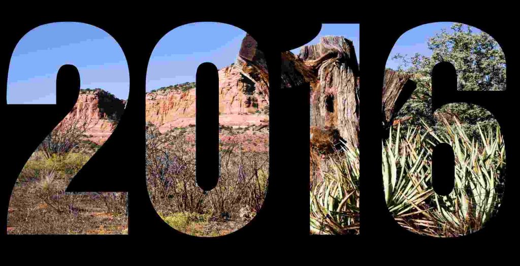 Toutes les dates et les événements marquants de 2016