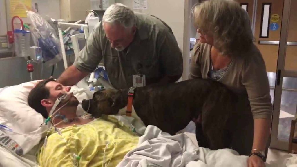 Émotion : Un chien dit adieu à son maître mourant