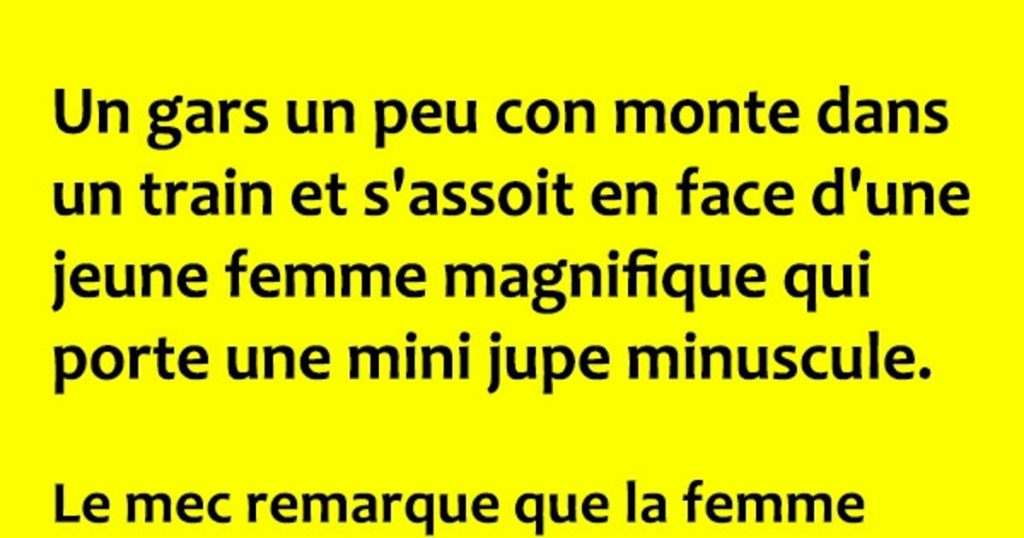 Un gars un peu con monte dans un train et…