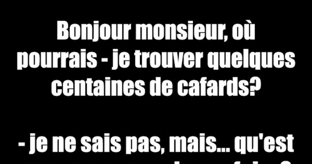 Bonjour monsieur, où pourrais…