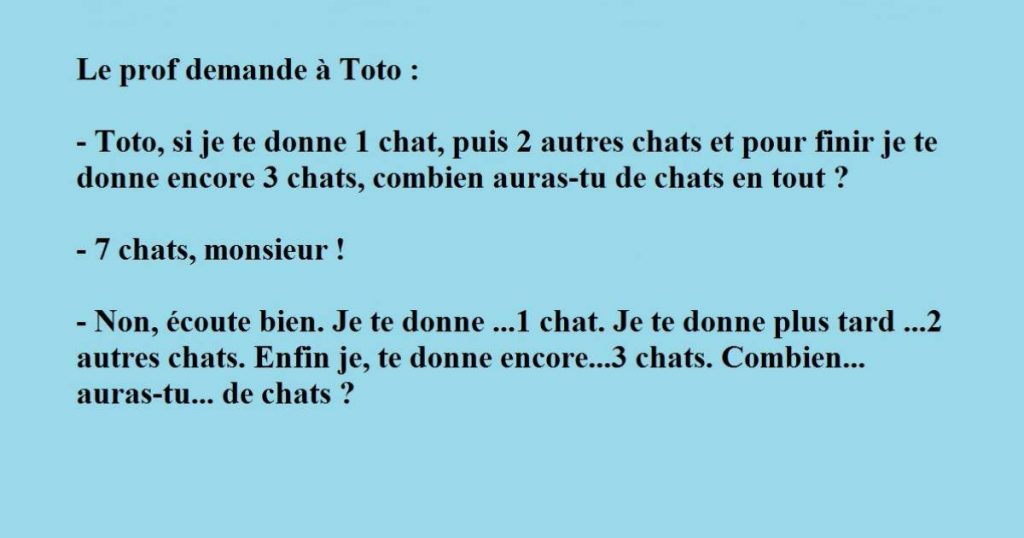 Un prof demande à un élève de compter les chats, mais ça ne va pas se passer comme prévu ! trop drôle !