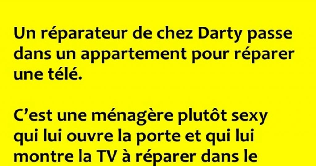 Un réparateur de chez Darty passe dans un appartement pour réparer une télé.