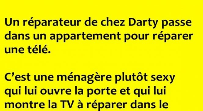 Un réparateur de chez Darty passe dans un appartement pour réparer une télé.