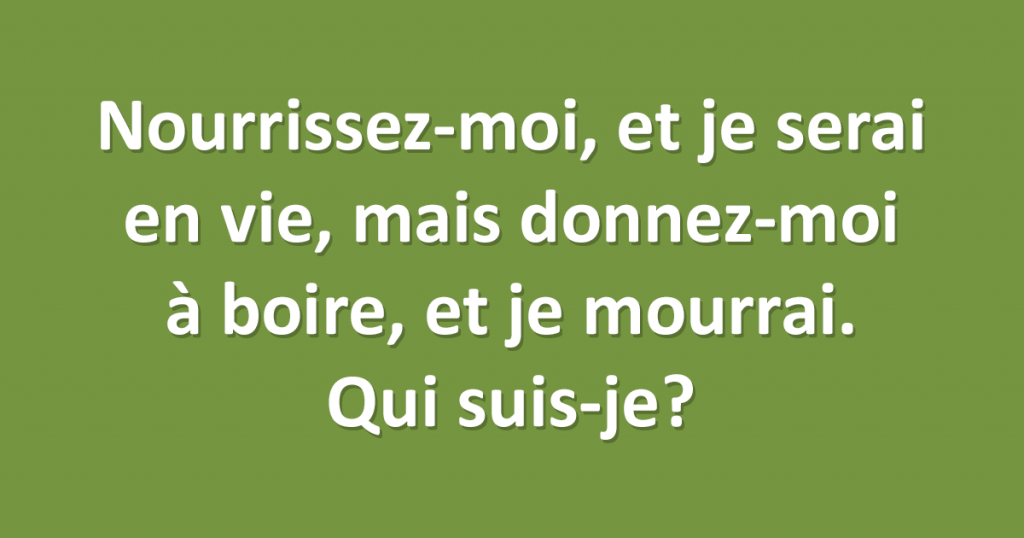 10 casse-tête pour enfants pas si facile que ça à résoudre qui testeront votre cerveau