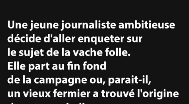 Une jeune journaliste ambitieuse décide d’aller enqueter…