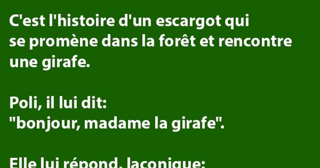 C’est l’histoire d’un petit escargot qui se promène dans la forêt et rencontre une girafe…